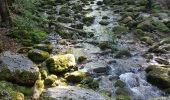 Randonnée Marche Menétrux-en-Joux - Ménétrux-en-Joux - cascades Evantail et Hérisson - Saut de la Forge - La Fromagerie - Photo 19