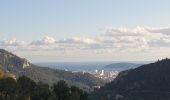 Excursión Senderismo Le Revest-les-Eaux - Le Mont Caume - Photo 19