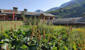 Tocht Stappen Pralognan-la-Vanoise - Pralognan - col du soufre A/R - Photo 3