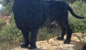 Randonnée Marche Le Castellet - Barres de Castillon par Bégude - Photo 1