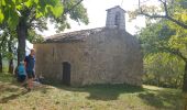 Trail Walking Seillans - La Pigne - Photo 3