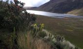 Trail Horseback riding Juncal - Cabalgata Culebrillas - Photo 20