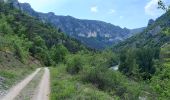 Randonnée Marche Gorges du Tarn Causses - Au long du Tarn: de St Enimie aux Vignes - Photo 10