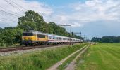 Randonnée A pied Almelo - WNW Twente - Tusveld - oranje route - Photo 1