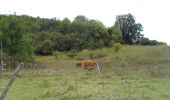Tocht Stappen Montmain - 20220915-Montmain  - Photo 11