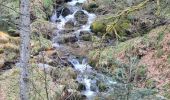 Trail Walking Plainfaing - rudlin - Photo 6