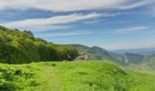 Tocht Stappen Omblèze - Le saut de la Truite - Photo 3