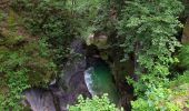 Excursión Senderismo Bohinj - Gorges - Photo 15