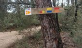 Trail Walking Flayosc - reconnaissance berne circuit jaune  - Photo 2