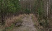 Trail Walking Maasmechelen - La balade des Terhills  - Photo 4