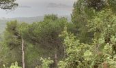 Tour Wandern Évenos - La loisianne pins et tamaris Fred - Photo 16