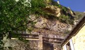 Tocht Stappen Castelnaud-la-Chapelle - Vézac 20,5km - Photo 19