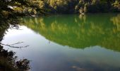 Randonnée Marche Saint-Maurice-sur-Moselle - Rouge Gazon - Lacs des Perches et du Neuweiher - Col des Charbonniers  - Photo 3