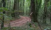 Tocht Stappen Souligny - Souligny 21km le 10/08/2020 - Photo 3