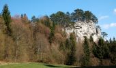 Tocht Te voet Gemeinde Muggendorf - Myrafälle - Karnerwirt - Hausstein - Wildgehege - Myrafälle - Photo 4