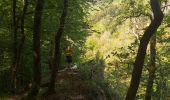 Tocht Stappen Libin - balade du dimanche entre eau et forêt  - Photo 15