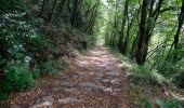 Trail On foot Allèves - Montée Romaine - Photo 8