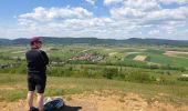 Trail Walking Dossenheim-sur-Zinsel - Le Bastberg depuis Dossenheim-sur-Zinsel - Photo 19