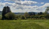 Tocht Stappen Stoumont - cour . borgoumont . moulin du ruy . andrimont . cour - Photo 9