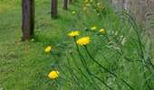 Trail Walking Mons - Havré (Mons) - Photo 4