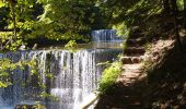 Trail Walking Boudry - gorges areuse - Photo 4