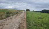 Trail Equestrian Porcelette - Wikiloc - Porcelette - Grotte des russes - Photo 8