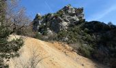 Tour Wandern La Palud-sur-Verdon - Sentier Blanc Martel - Photo 17