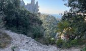 Tocht Stappen Gigondas - Dentelles de Montmirail - Photo 13