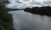 Tocht Stappen Briare - Canal de briard  sur la Loire septembre 2019 - Photo 10