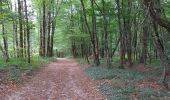 Trail Walking Champsanglard - Enzeme-Moutier 25,7km - Photo 18