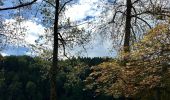 Tour Zu Fuß Hausen am Albis - Türlerseerundweg - Photo 9