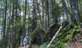 Trail Walking Feldberg - Feldsee & Feldberg Mai 2025 - Photo 15