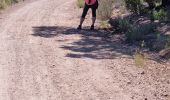 Trail Walking Puget-sur-Argens - z la Lieutenante 7 21-05-24 - Photo 2