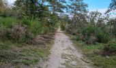 Trail Walking Fontainebleau - Sentier Denecourt 8 8-8 - Photo 2