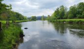 Trail Walking Bertrix - Auby sur Semois 070525 - Photo 15
