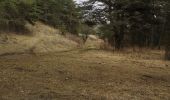 Trail Walking Escragnolles - hameau de Clars avec Toto - Photo 7