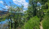 Trail Walking Lac de la Haute-Sûre - 2022-09-22_13h02m46_t62746125_eislek pad bavigne (1) - Photo 7