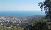 Tour Elektrofahrrad Bormes-les-Mimosas - la murene  - Photo 1