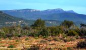 Tour Wandern Solliès-Toucas - Valaury - Apier - Matheron - Photo 14