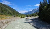 Trail Walking Les Houches - J7 - Les Houches > Chamonix par le Chemin des Villages - Photo 10