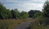 Tour Zu Fuß Römhild - Wanderroute II im Gleichberggebiet - Photo 1