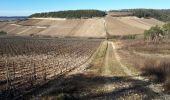 Percorso Marcia Celles-sur-Ource - Les hauts de Celles sur Ource et Neuville sur Seine - Photo 2