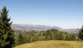 Excursión A pie Desconocido - Moieciu de Sus - Șaua Strunga - Cabana Padina - Photo 2