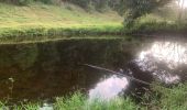 Trail Running Sainte-Anne - Liard saint Robert - Photo 10