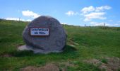 Excursión Senderismo Luttenbach-près-Munster - Autour du Petit Ballon et ses fermes auberges - Photo 5