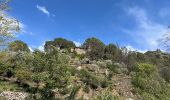 Tour Wandern Argelès-sur-Mer - Mas Cristina: Par les trois mas - Photo 1