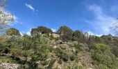 Tocht Stappen Argelès-sur-Mer - Mas Cristina: Par les trois mas - Photo 1