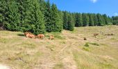 Trail Walking Crêts-en-Belledonne - LE CRET DU POULET - Photo 2