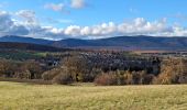 Trail Horseback riding Gresswiller - 2023-11-19 Picnic CVA Les pelouses du Jesselsberg - Photo 1