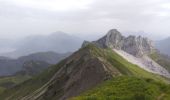 Trail Walking Plancherine - chalet de Drison à nant fourchu  - Photo 5